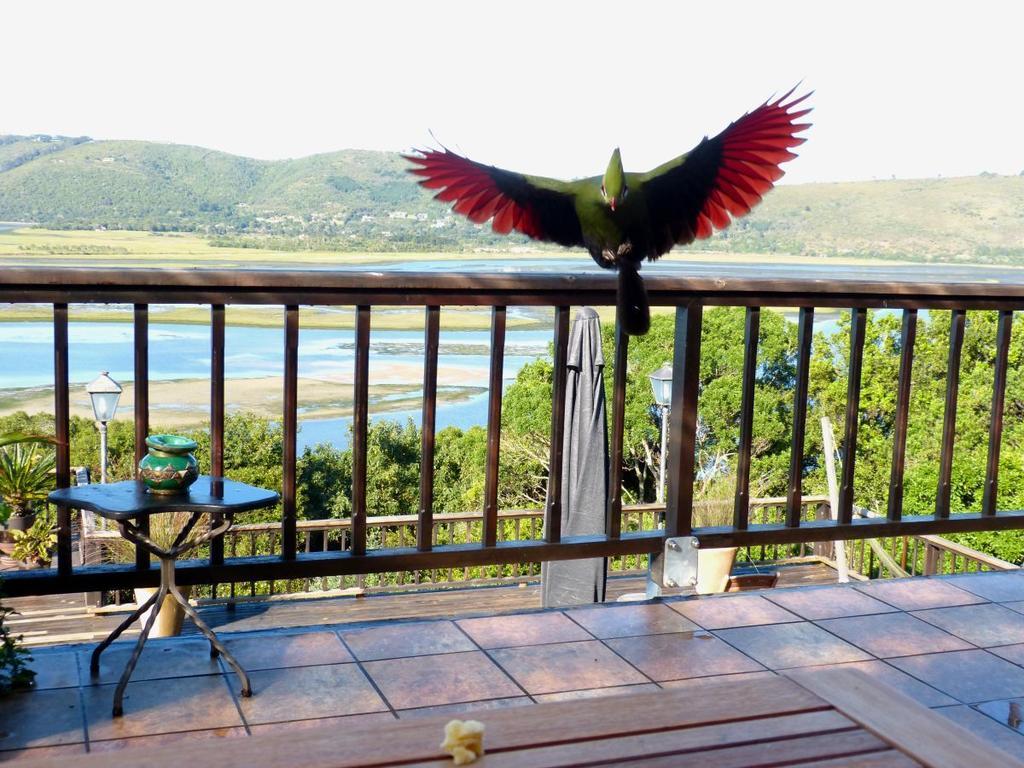 Knysnaviews Guest House Ruang foto